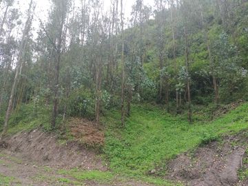 Venta de Terreno