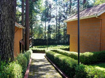 ESPECTACULAR QUINTA EN VENTA CON CABAÑAS