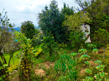 Casa de venta en Paute, Sector Uzhupud