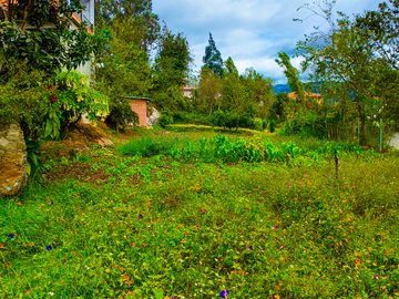 Casa de venta en Paute, Sector Uzhupud