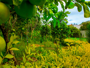 Casa de venta en Paute, Sector Uzhupud