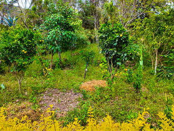 Casa de venta en Paute, Sector Uzhupud