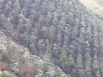Finca Productora Abejorral