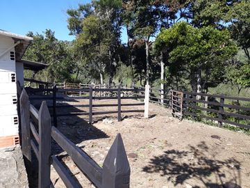 Finca Productora Abejorral