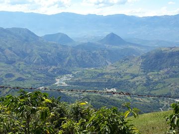 Finca Productora Abejorral
