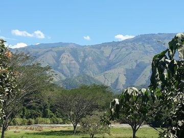 Finca Productora Abejorral