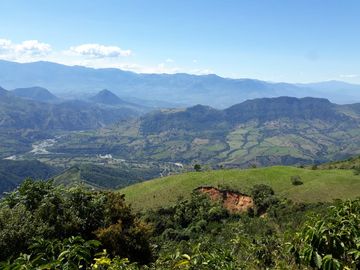 Finca Productora Abejorral