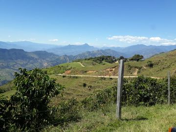 Finca Productora Abejorral
