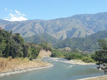 Finca Productora Abejorral