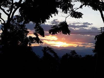 Finca Productora Abejorral