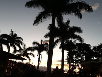 Finca Productora Abejorral
