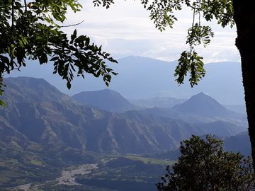 Finca Productora Abejorral