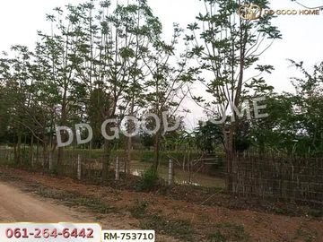 Lom Kao land 1 rai 376 sq w. Phu Hin View Resort Project, Phetchabun. near Phu Thap Boek