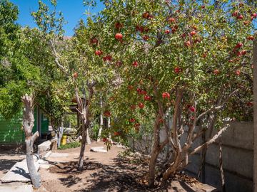 Venta de Sitio Urbano de 590 m2 con 2 Casas. Peralillo, Valle del Elqui. $75 millones