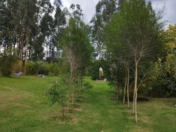 HOSTERIA en venta, 10.000m2 de terreno y 968m2 construidos, piscina, 20 parqueos