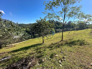 Land in Pong Yang for Sale Nice land with stunning view