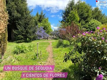 Parcelas en venta en Río Negro dentro de un Campo de Arándanos