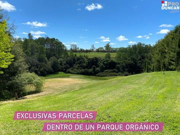 Parcelas en venta en Río Negro dentro de un Campo de Arándanos