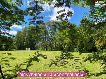 Parcelas en venta en Río Negro dentro de un Campo de Arándanos