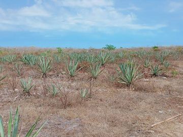 Oportunidad INVERSIONISTA - TERRENO EN Telchac Pueblo