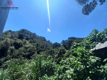 309 sqm Residential Lot for Sale in Suello Village, Baguio City