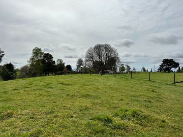Vendo Hermoso Terreno De 20.000 M2 En Lago Ranco