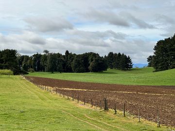 Vendo Hermoso Terreno De 20.000 M2 En Lago Ranco