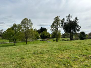 Vendo Hermoso Terreno De 20.000 M2 En Lago Ranco