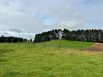 Vendo Hermoso Terreno De 20.000 M2 En Lago Ranco