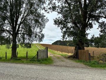 Vendo Hermoso Terreno De 20.000 M2 En Lago Ranco