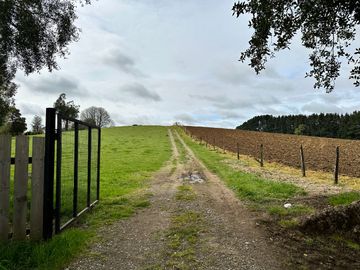 Vendo Hermoso Terreno De 20.000 M2 En Lago Ranco