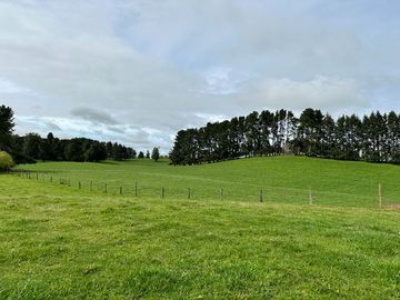 Vendo Hermoso Terreno De 20.000 M2 En Lago Ranco