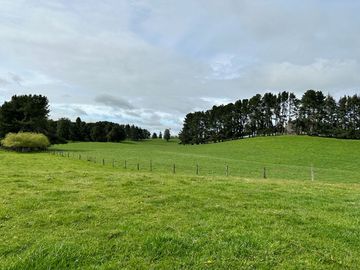 Vendo Hermoso Terreno De 20.000 M2 En Lago Ranco