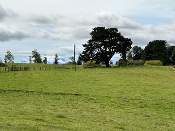 Vendo Hermoso Terreno De 20.000 M2 En Lago Ranco