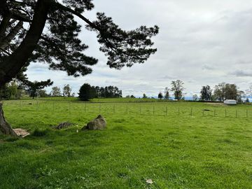 Vendo Hermoso Terreno De 20.000 M2 En Lago Ranco