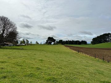 Vendo Hermoso Terreno De 20.000 M2 En Lago Ranco