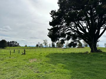 Vendo Hermoso Terreno De 20.000 M2 En Lago Ranco