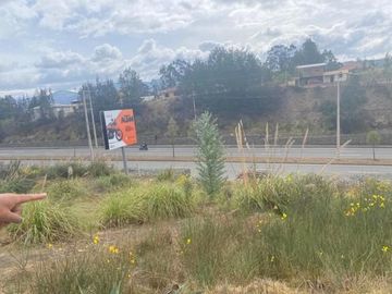 Oportunidad terreno en venta 8.000m2 con frente a la Autopista Descanso - Azogues