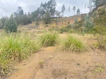 Oportunidad terreno en venta 8.000m2 con frente a la Autopista Descanso - Azogues