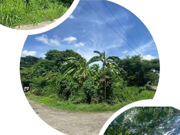 902 sqm Lot Only at Nusa dua Farm Estate Cavite