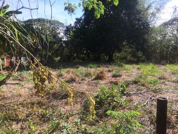 902 sqm Lot Only at Nusa dua Farm Estate Cavite