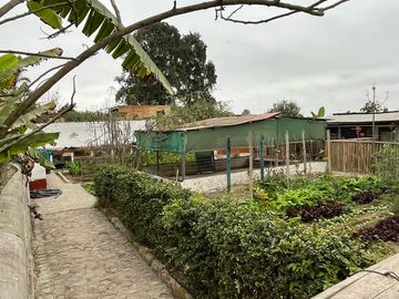 CASA DE CAMPO EN PACHACAMAC