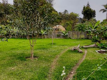 CASA DE CAMPO EN PACHACAMAC