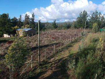 Venta de Terrenos en Alto Curanipe, Pelluhue - A Pocos Minutos de la Playa