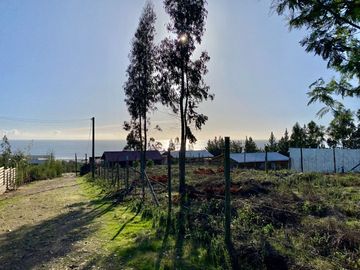 Venta de Terrenos en Alto Curanipe, Pelluhue - A Pocos Minutos de la Playa