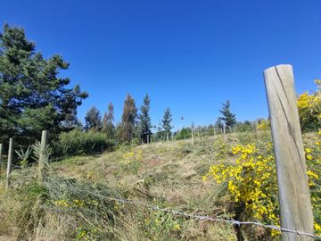 Venta de Terrenos en Alto Curanipe, Pelluhue - A Pocos Minutos de la Playa