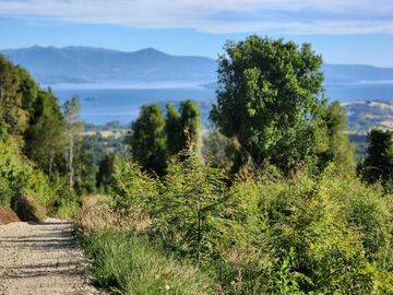 Excelente Parcela de 2ha con acceso a playa en lago Ranco, Futrono