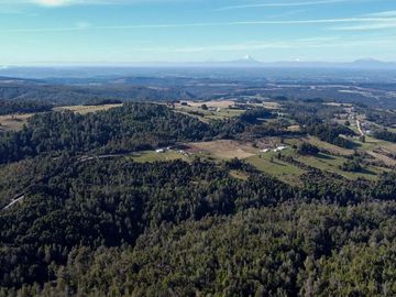Campo en venta en Estación Río Frio de 40,6 Hectáreas, El Mañio