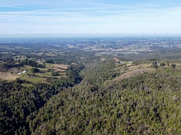 Campo en venta en Estación Río Frio de 40,6 Hectáreas, El Mañio