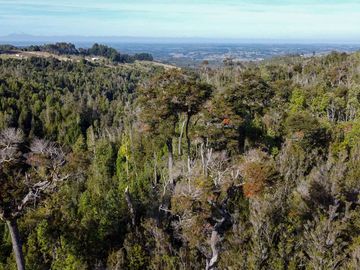 Campo en venta en Estación Río Frio de 40,6 Hectáreas, El Mañio
